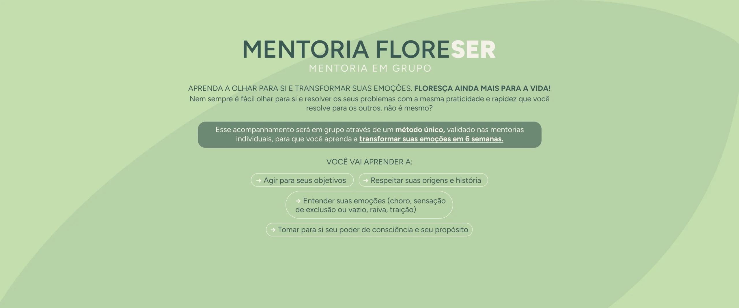 MENTORIA FLORESER - MENTORIA EM GRUPO